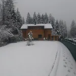 Blockhaus - Zwergenhäusl Apartment Grünau im Almtal