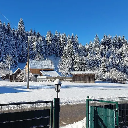 Blockhaus - Zwergenhaeusl Apartment Gruenau im Almtal
