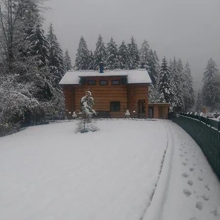Blockhaus - Zwergenhaeusl Apartment Gruenau im Almtal